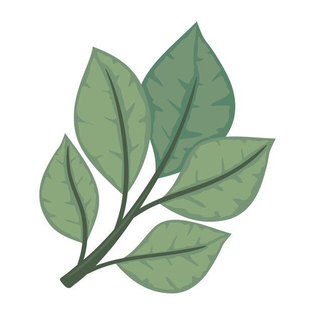 hojas icono de la naturaleza aislado