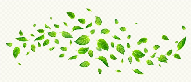 Vector gratuito hojas de menta verde cayendo y volando en el aire