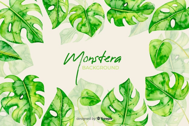 Vector gratuito hojas de monstera en acuarela