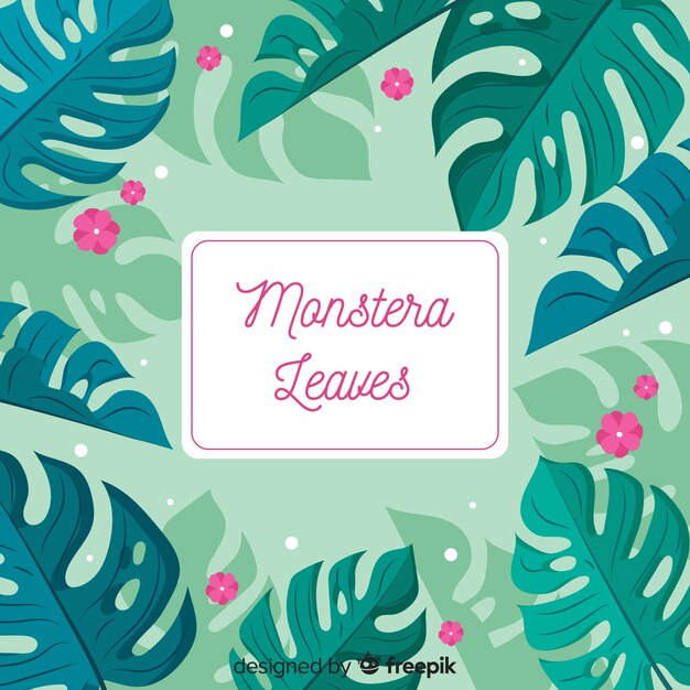 Hojas de monstera en diseño plano