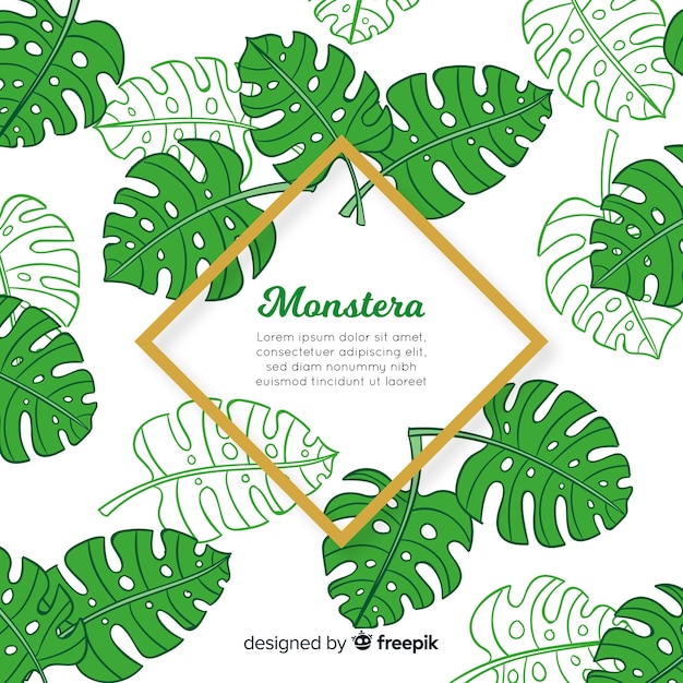 Vector gratuito hojas de monstera