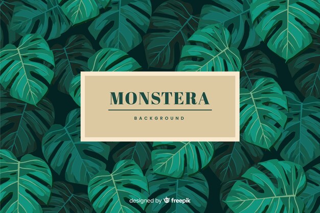 Hojas de monstera