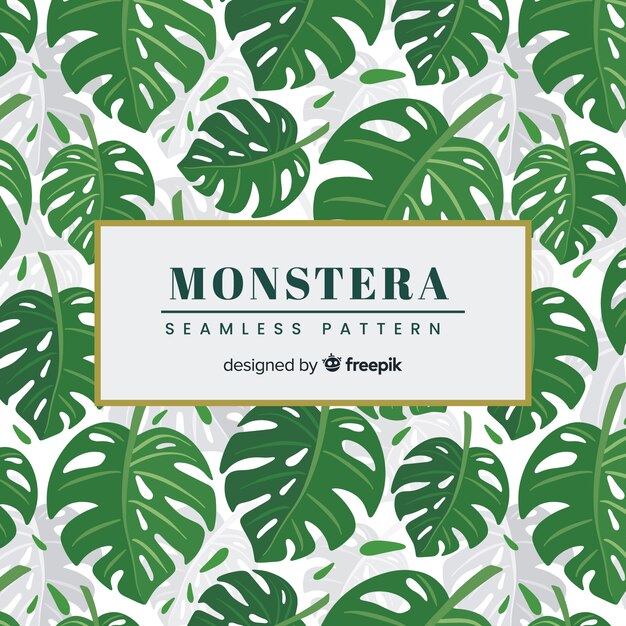 Hojas de monstera