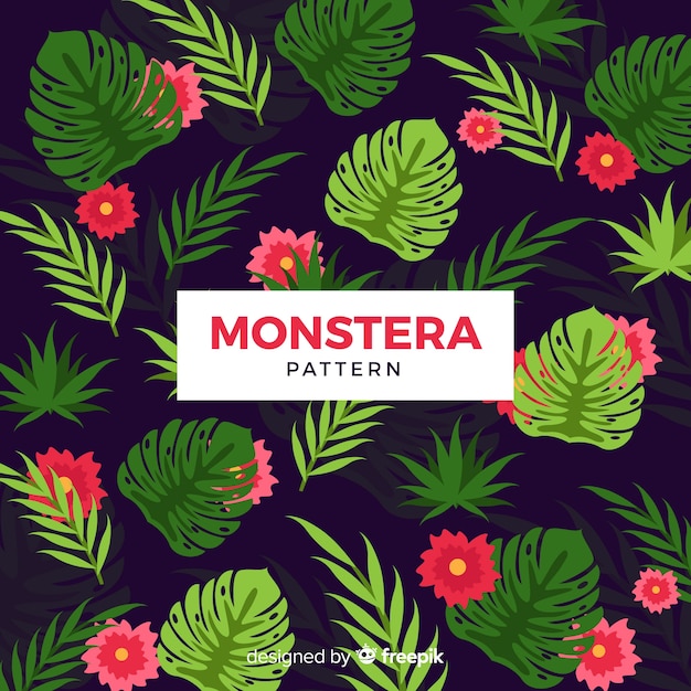 Vector gratuito hojas de monstera