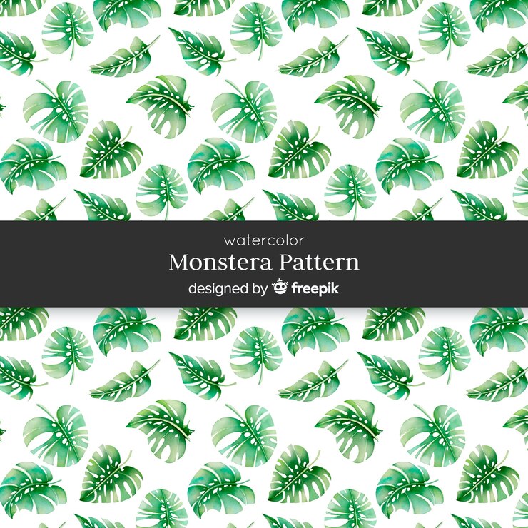 Vector gratuito hojas de monstera