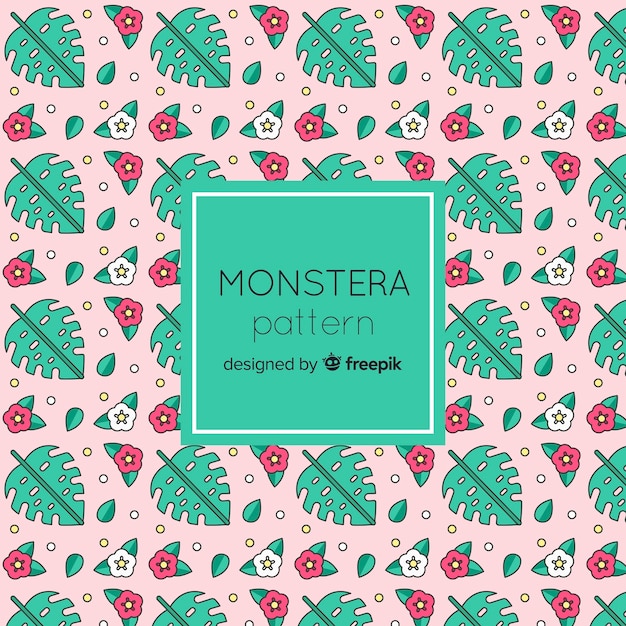 Hojas de monstera