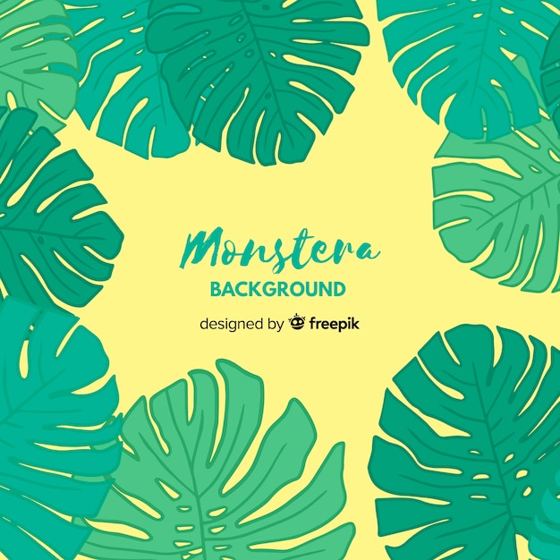 Hojas de monstera