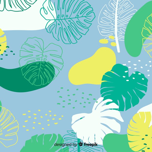 Hojas de monstera