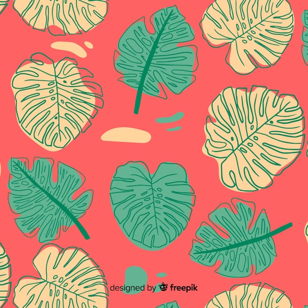 Vector gratuito hojas de monstera