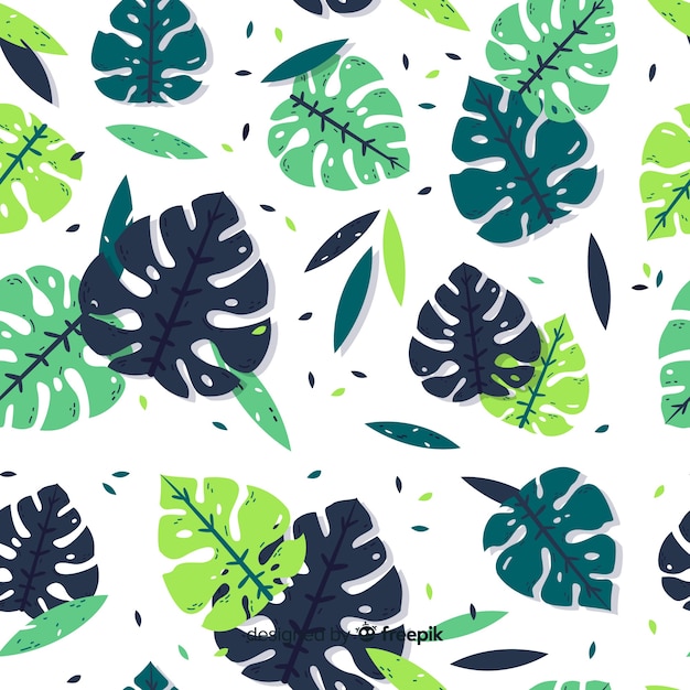 Hojas de monstera