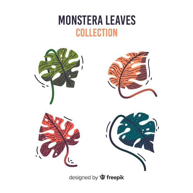 Vector gratuito hojas de monstera