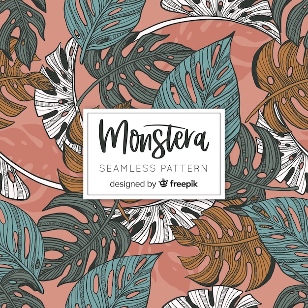 Hojas de monstera