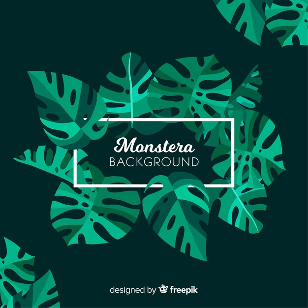 Hojas de monstera