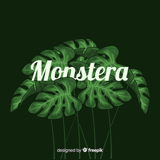 Hojas de monstera