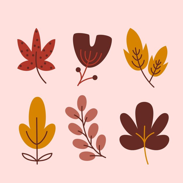 Hojas de otoño colección diseño dibujado a mano