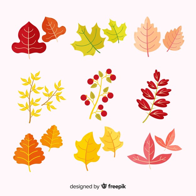 Hojas de otoño colección diseño plano