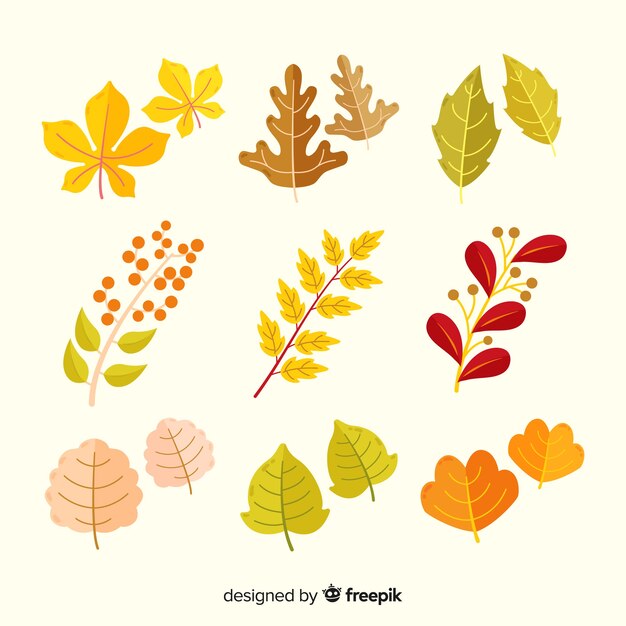 Hojas de otoño colección diseño plano