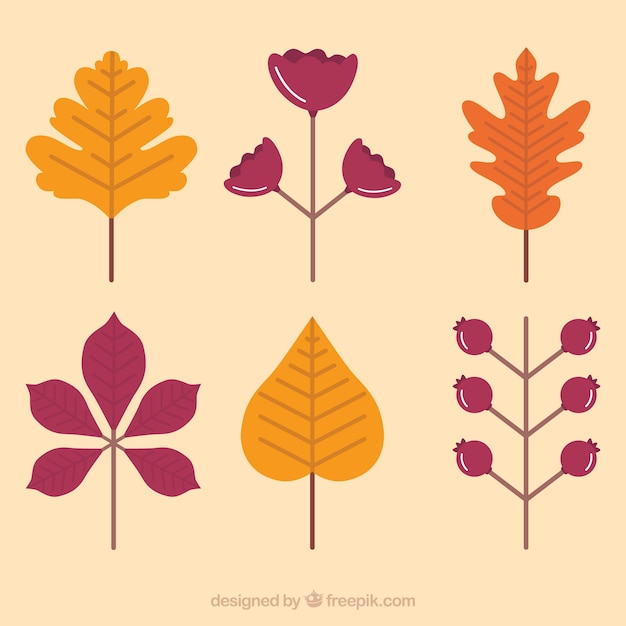 Vector gratuito hojas de otoño coloridas