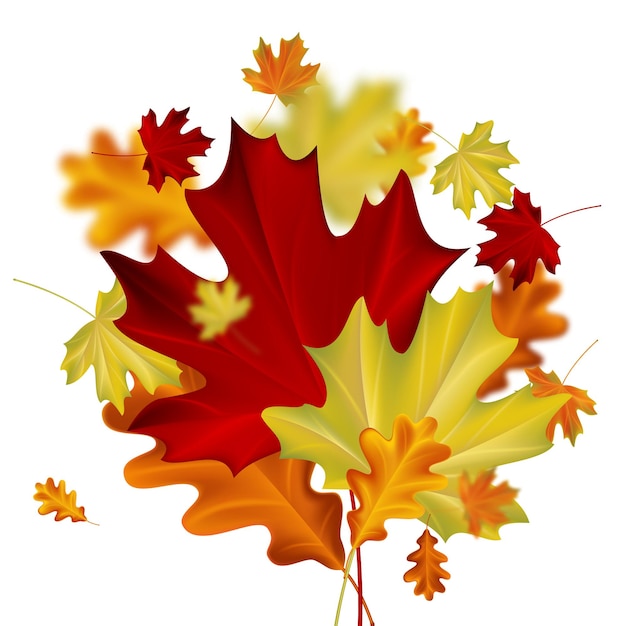 Hojas de otoño con efecto de desenfoque sobre fondo blanco. Ilustración de vector otoñal.