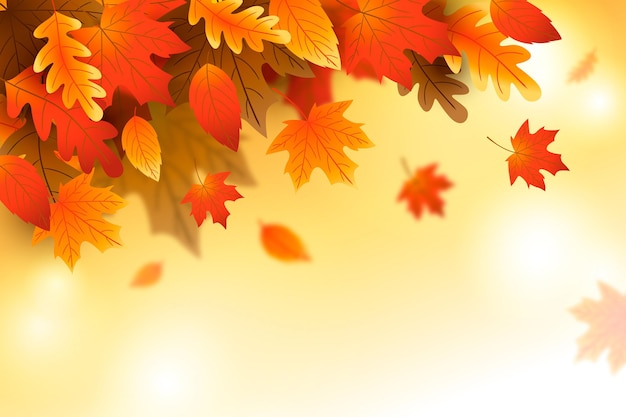 Las hojas de otoño en gradiente en el fondo