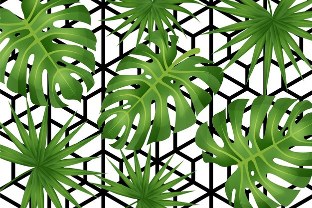 Hojas tropicales con fondo geométrico