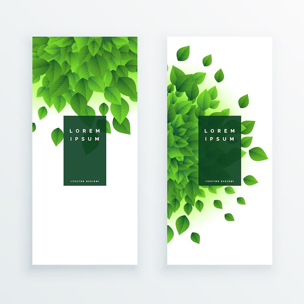 Vector gratuito hojas verdes fondo de banner vertical