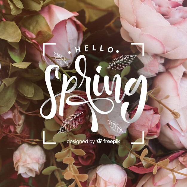 Hola fondo de letras de primavera