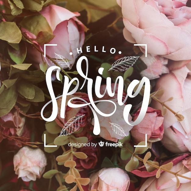Hola fondo de letras de primavera