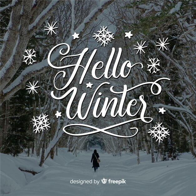 Hola letras de invierno con bosque y nieve