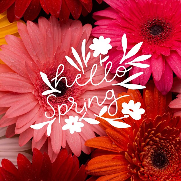 Hola letras de primavera con concepto de foto