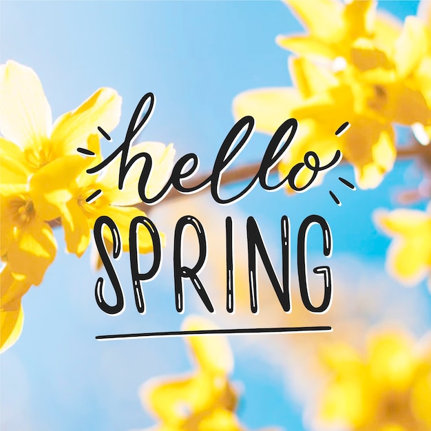 Hola letras de primavera con estilo de foto