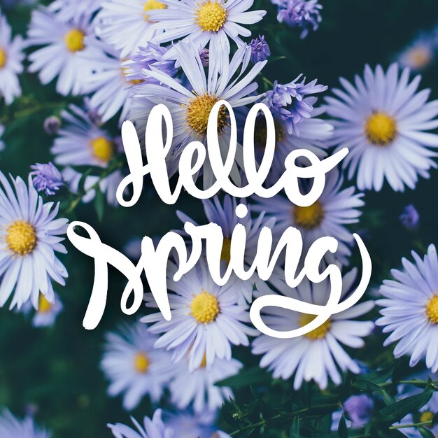 Hola letras de primavera con flores