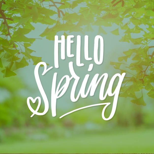 Hola letras de primavera con foto de vegetación
