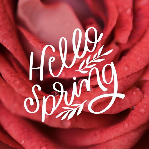 Hola letras de primavera con foto