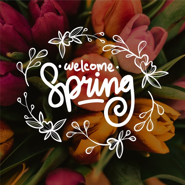 Hola letras de primavera con foto