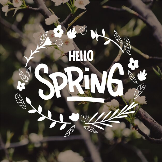 Hola letras de primavera con foto