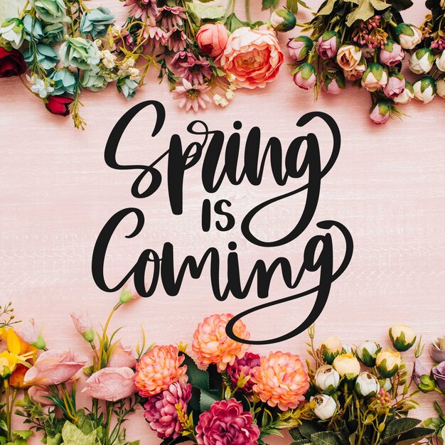 Hola letras de primavera con foto