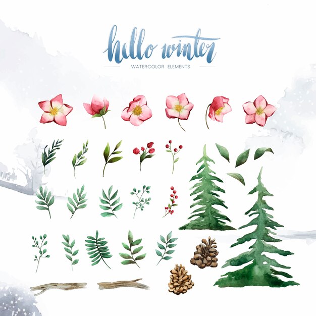 Hola plantas y flores de invierno pintadas por vector acuarela.