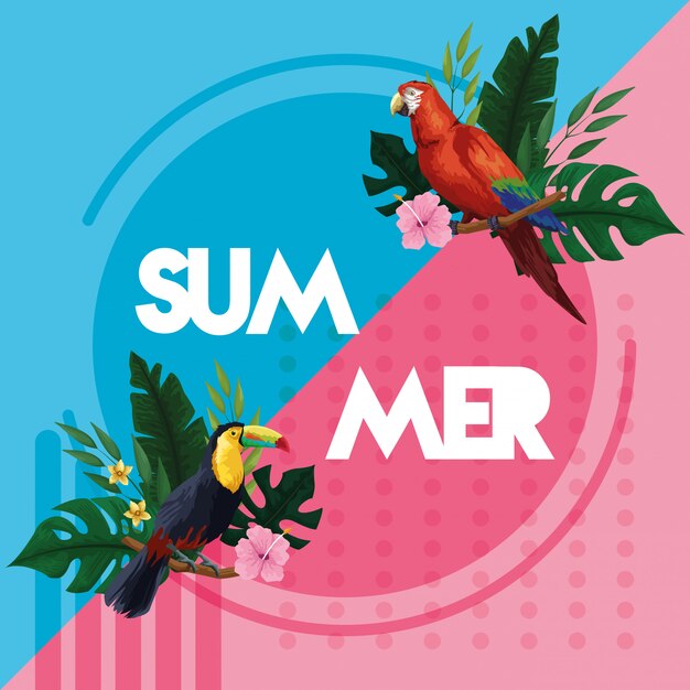 Hola tarjeta de tarjeta de verano