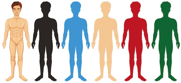 Hombre y diferentes cuerpos de color silueta