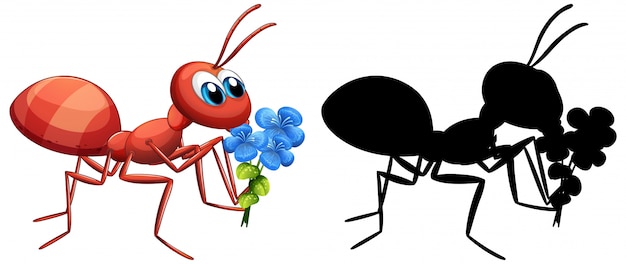 Hormiga con conjunto de flores