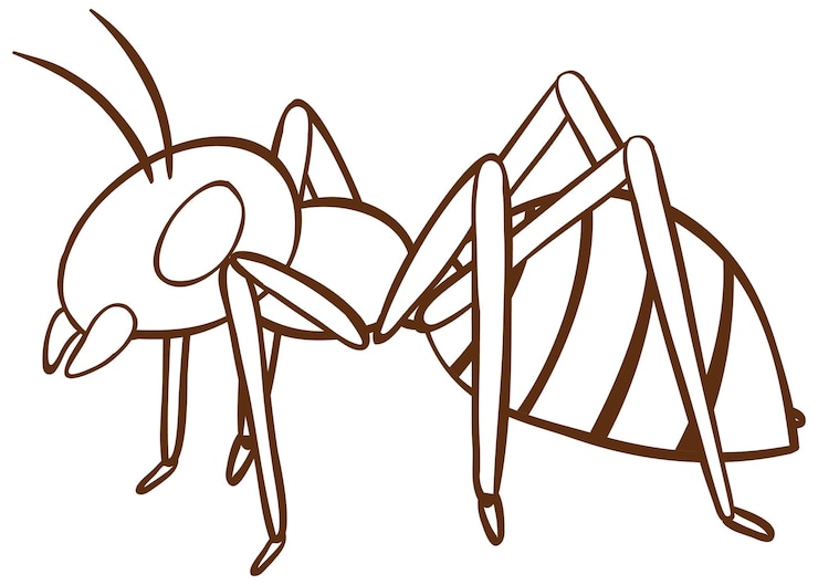 Vector gratuito hormiga en estilo simple de garabato sobre fondo blanco