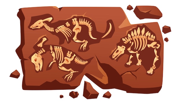 Vector gratuito huesos fósiles de dinosaurios, esqueletos de dinosaurios en piedra