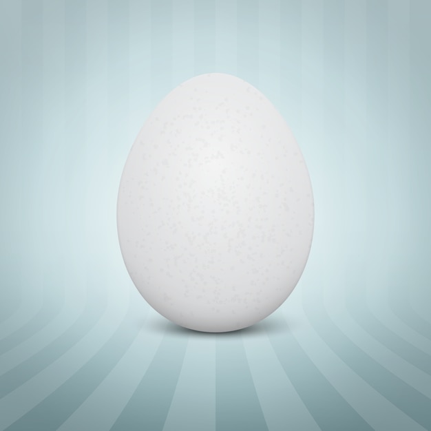 huevo blanco realista