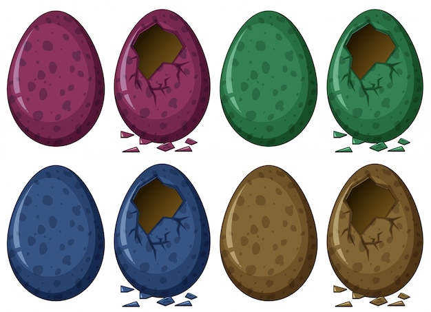 Vector gratuito huevos en cuatro colores