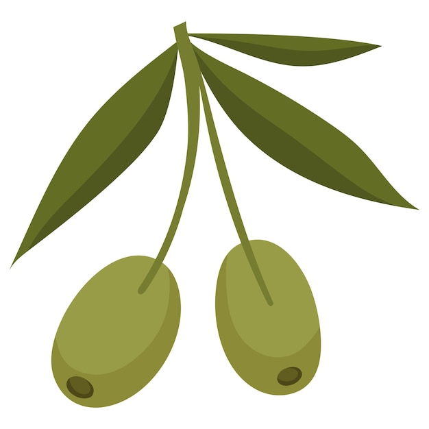 El icono de las aceitunas vegetarianas saludables aislado