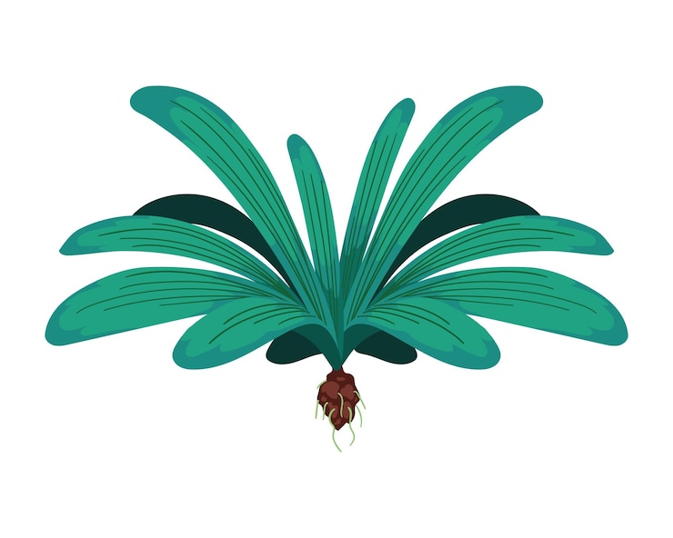 Vector gratuito icono aislado de planta exótica de hojas y raíces