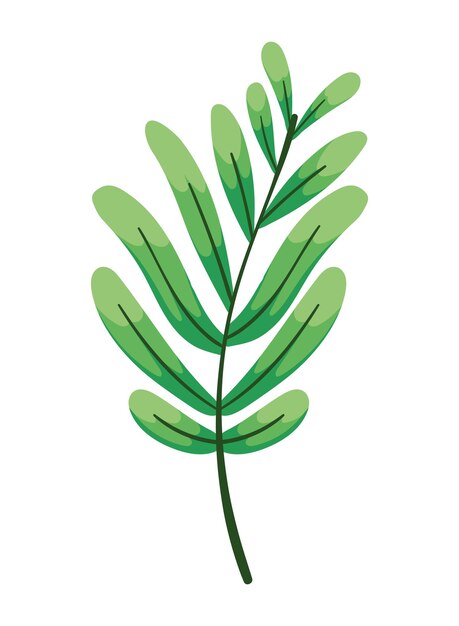 icono aislado de una planta de hoja exótica