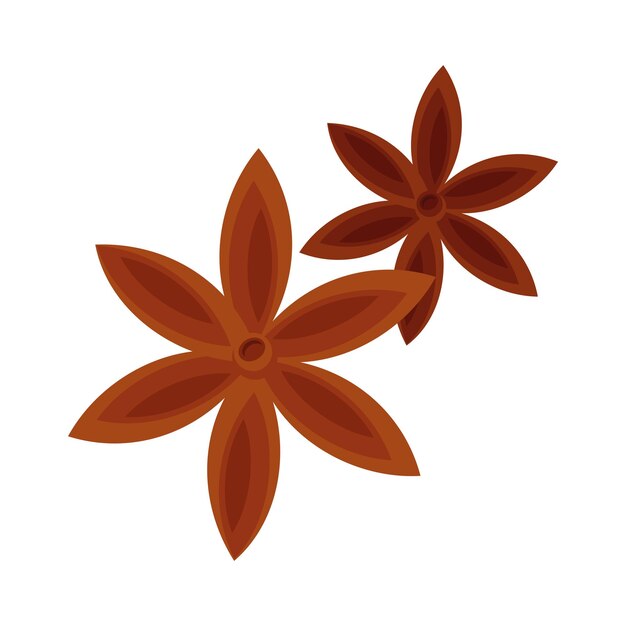 icono de anís estrellado