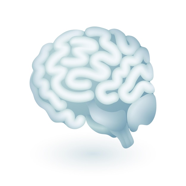 Icono de cerebro humano colorido en estilo 3d. Ilustración de vector plano de órgano humano interno o mente. Inteligencia, ciencia, educación, anatomía, medicina, concepto de neurología
